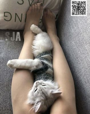 外科医生电视剧全集免费播放_BD免费电视剧