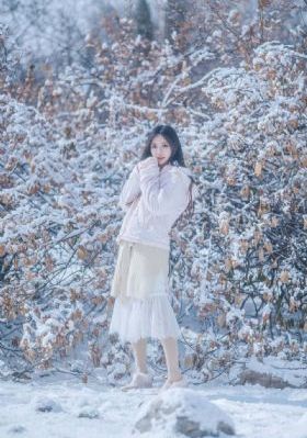 《沉香如屑》_BD英语电影在线观看